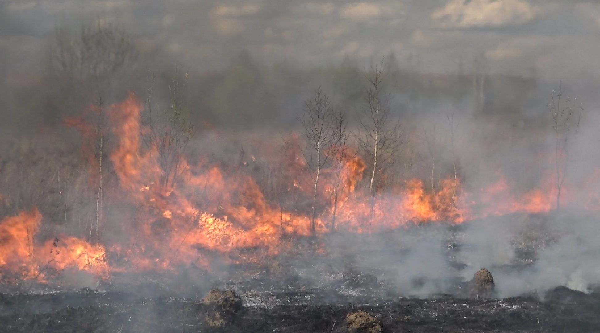 пал травы, МЧС, Домодедово, пожарная часть 58,