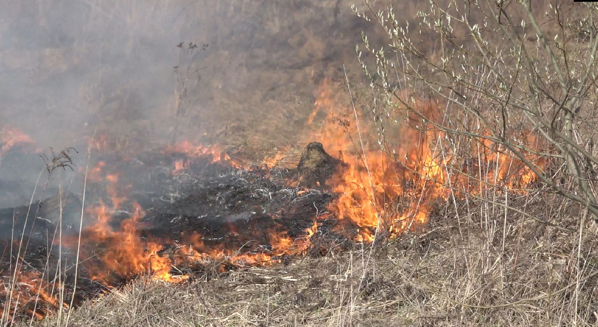 пал травы, МЧС, Домодедово, пожарная часть 58,