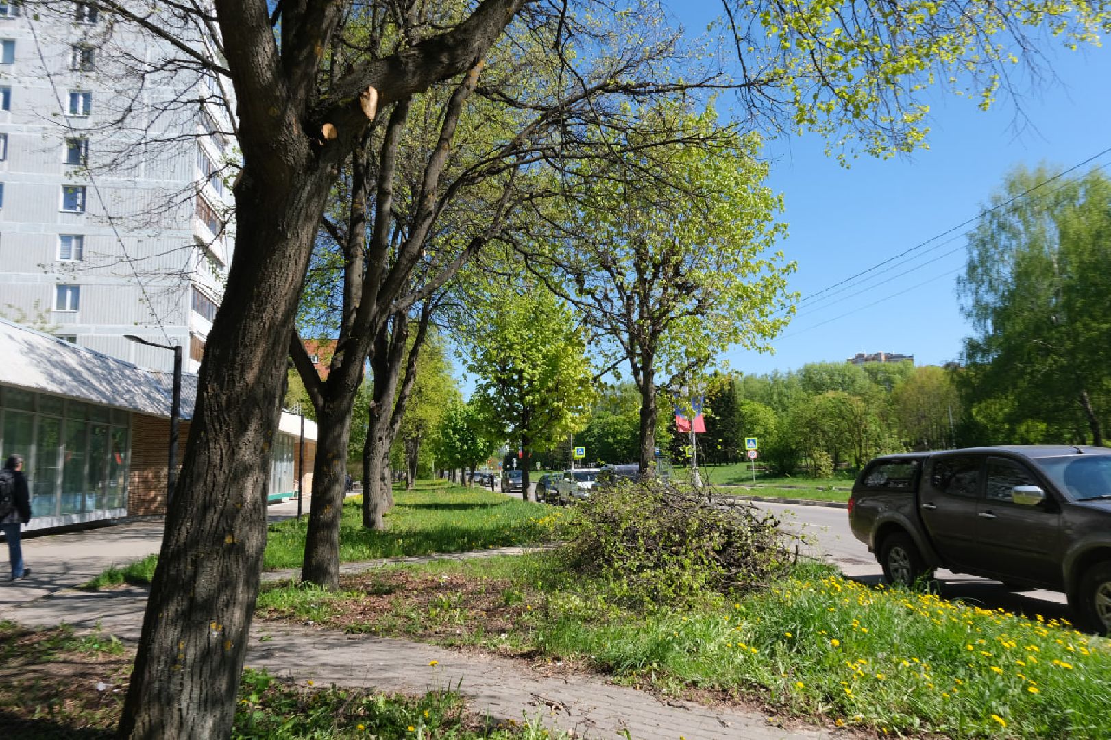 пущино, серпухов, благоуйстройство,