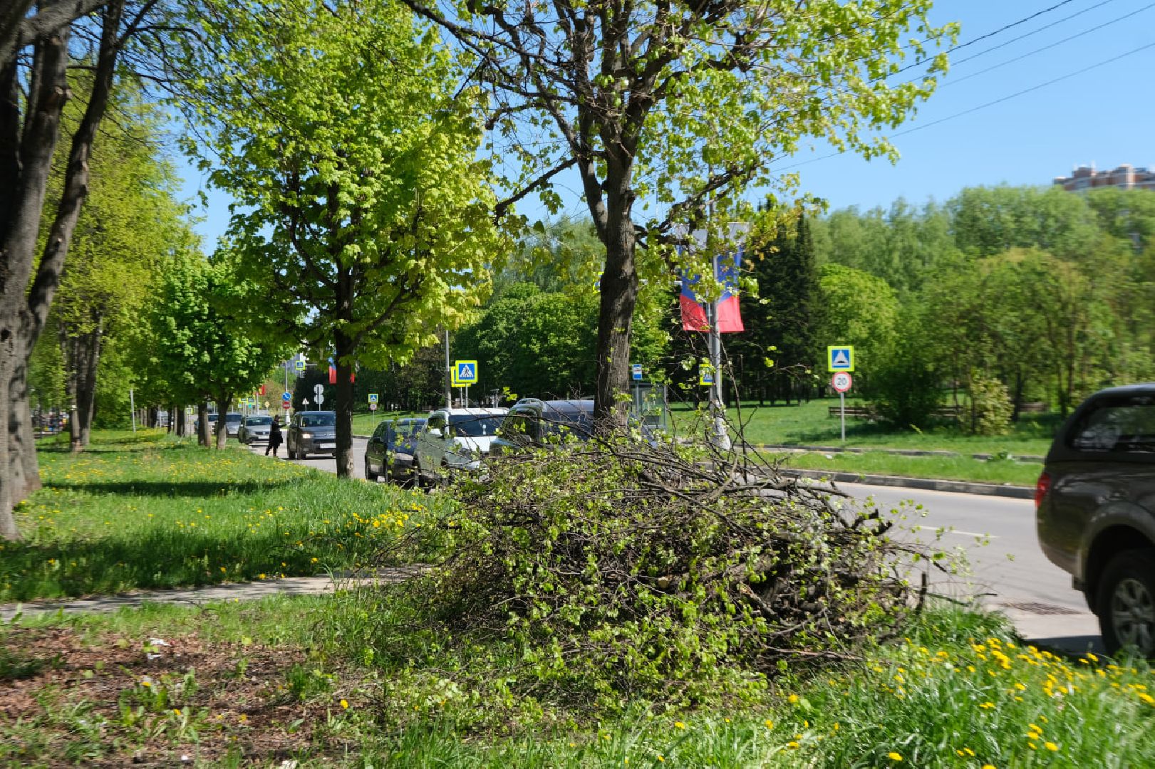 пущино, серпухов, благоуйстройство,