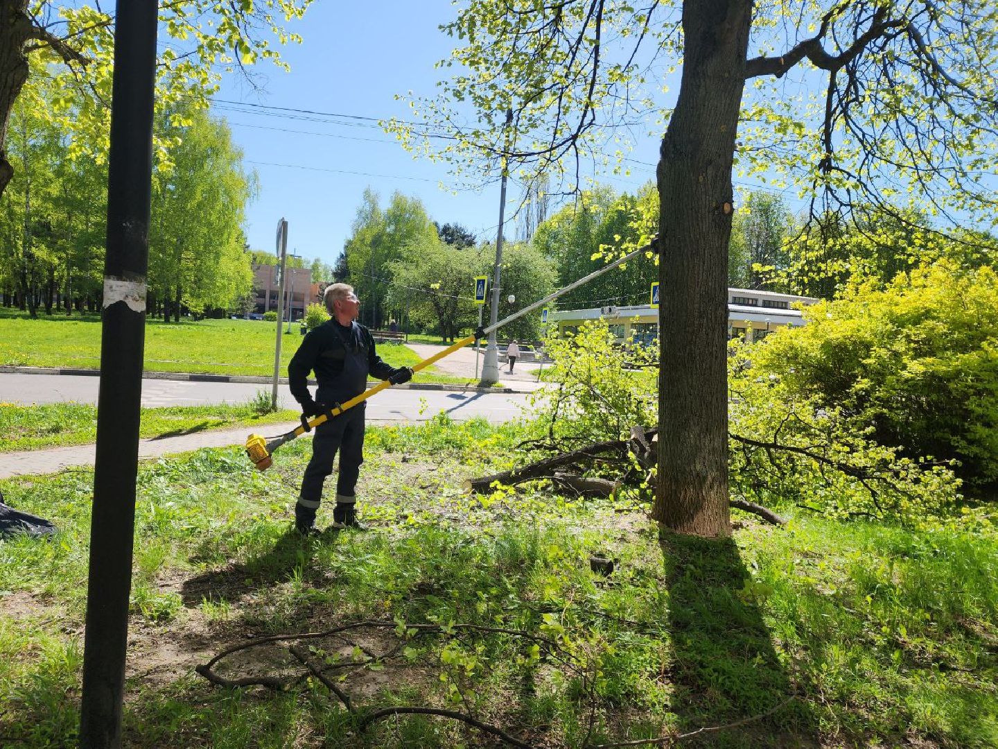 пущино, серпухов, благоуйстройство,