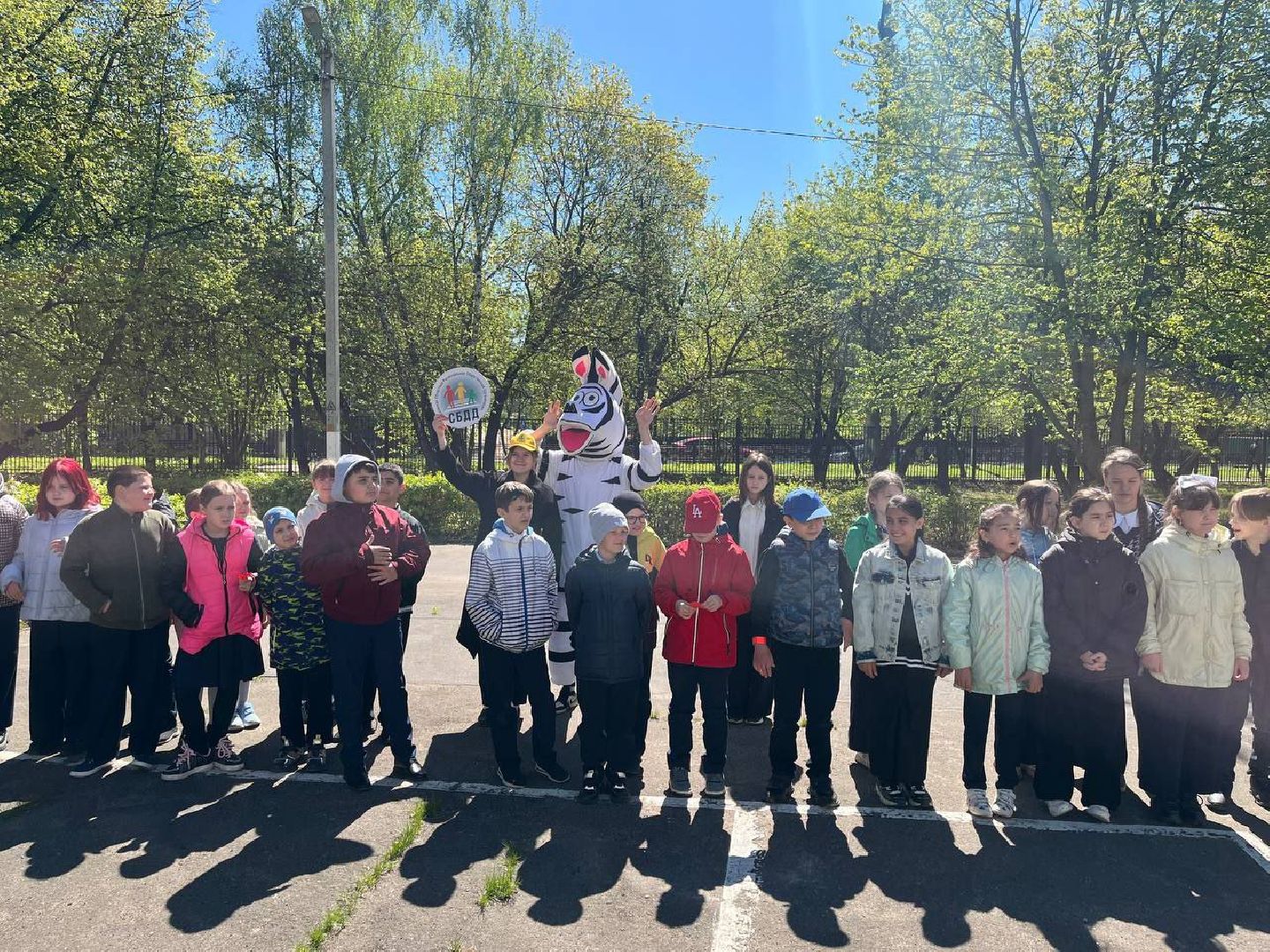 ОГИБДД, Домодедово, Подмосковье, Безопасность, Дорога, ПДД, союз бдд,