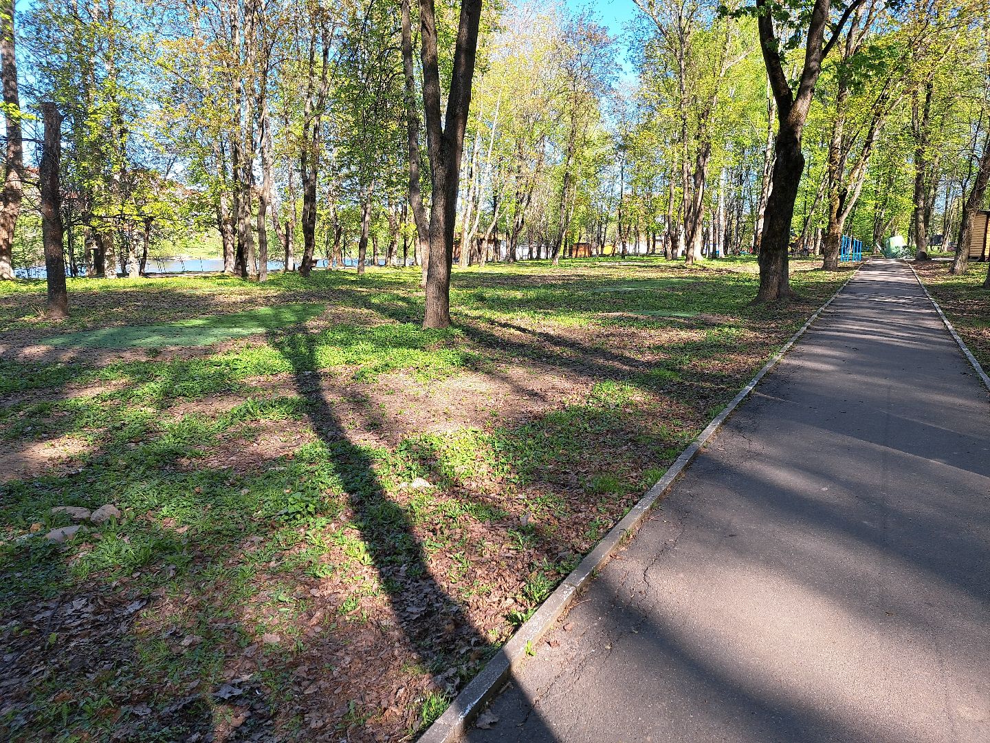 Щлково, зона для отдыха, пикник, Парк,