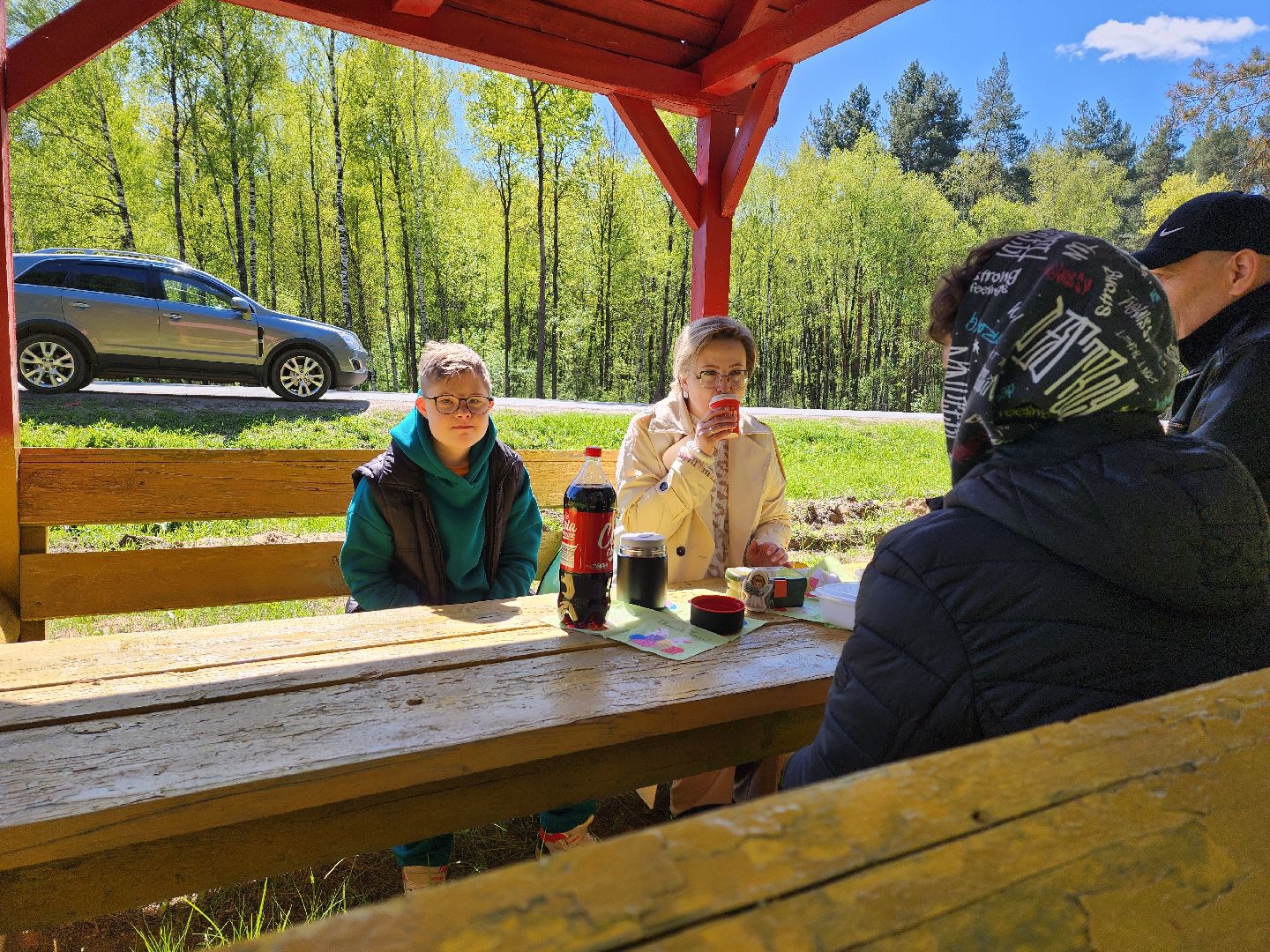 воскресенск, места для пикника, безопасность, лес, пожароопасный сезон,