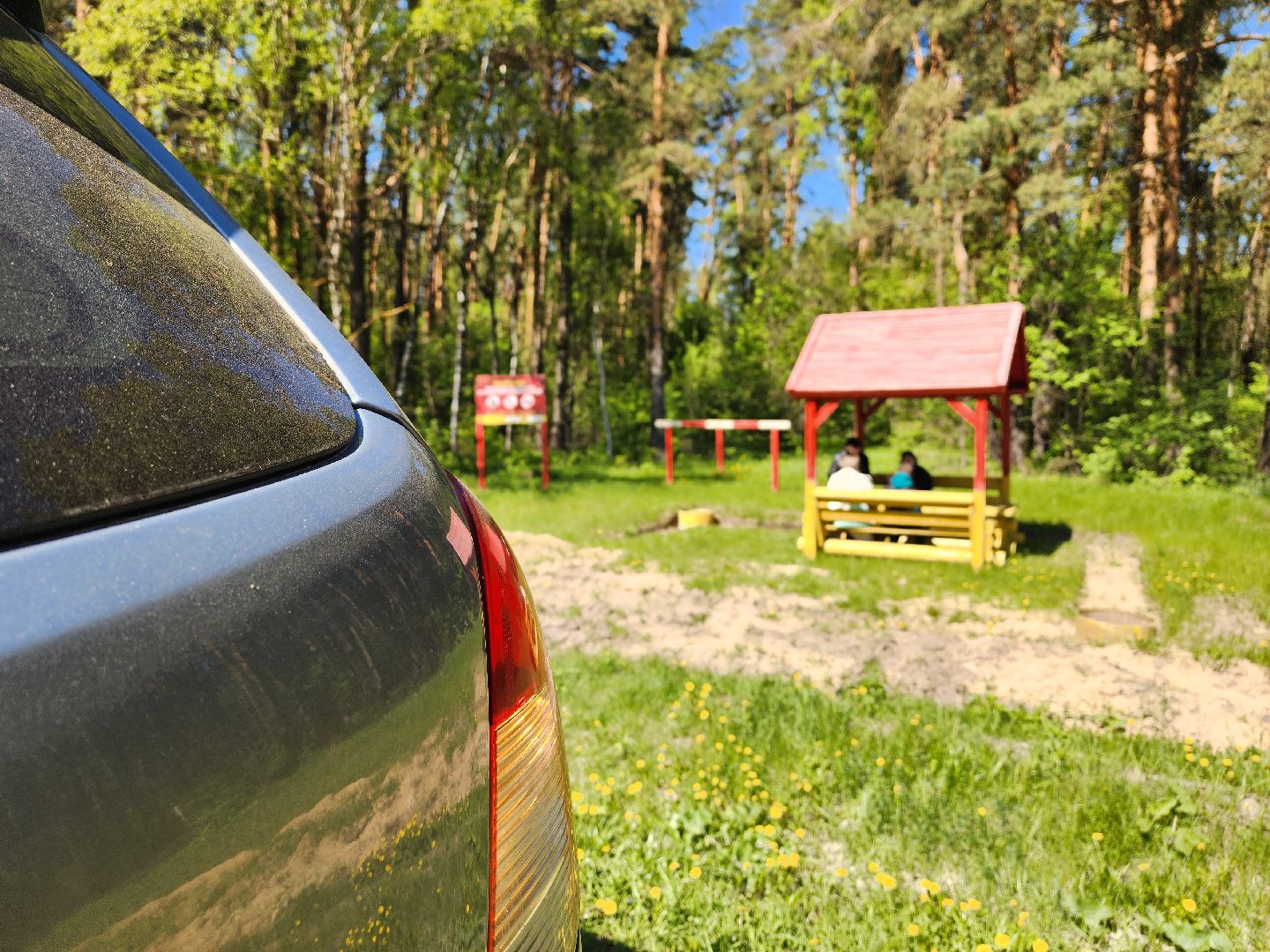 воскресенск, места для пикника, безопасность, лес, пожароопасный сезон,