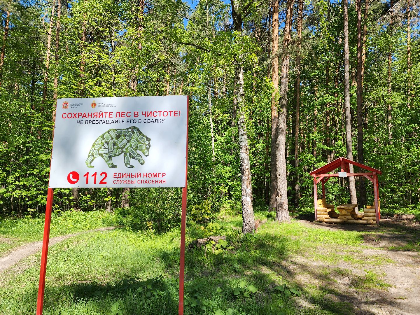 воскресенск, места для пикника, безопасность, лес, пожароопасный сезон,