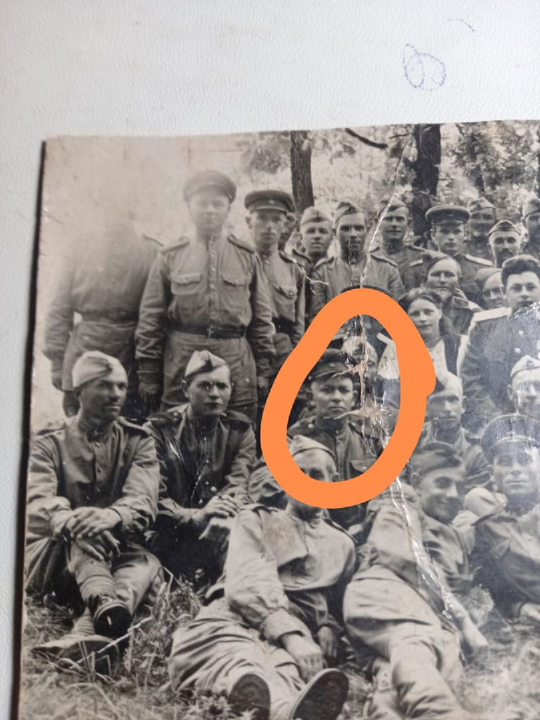 Родина, конкурс, Серпухов