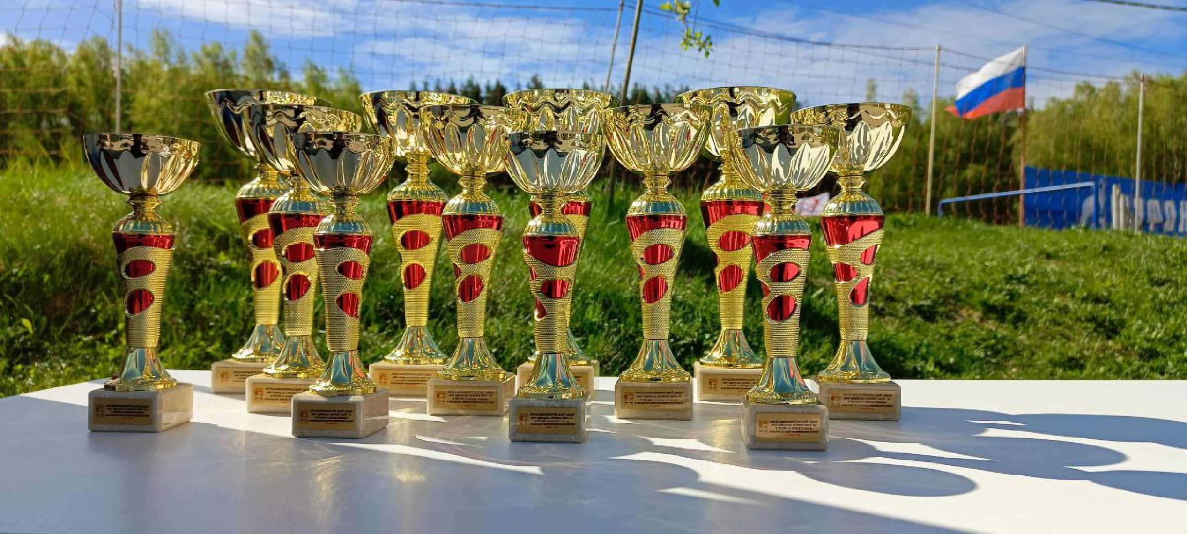 Дмитров, Минспорта,