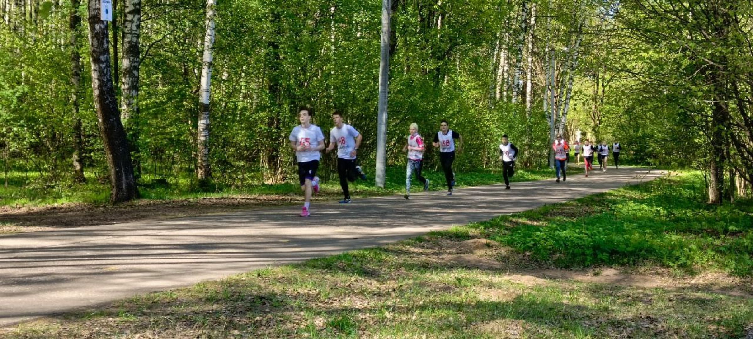 Дмитров, Минспорта,