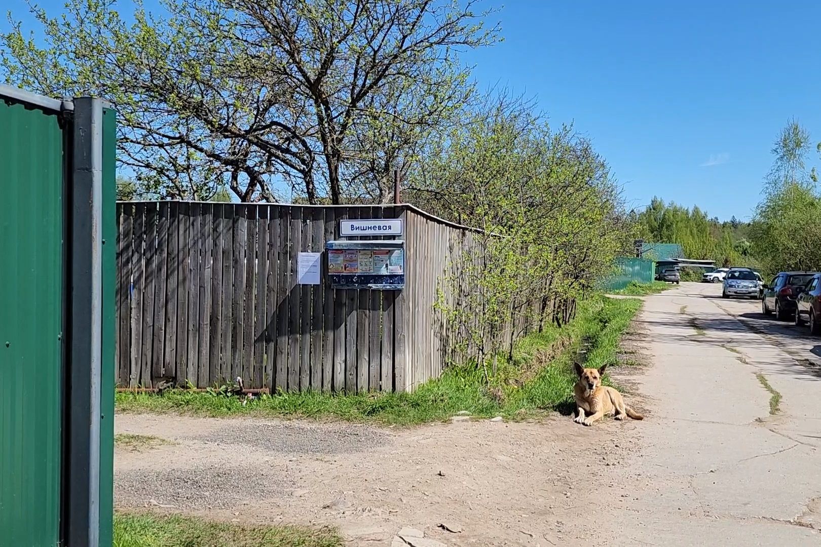 противопожарная безопасность, Профилактика, пожароопасный сезон, Дубна,