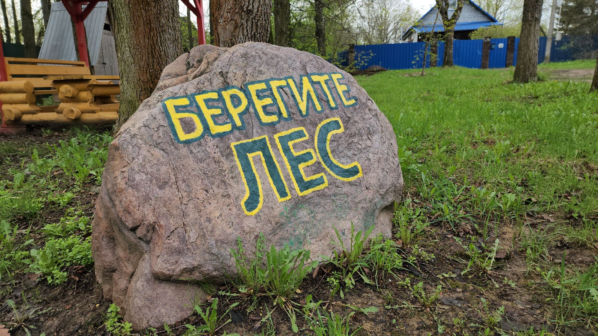 Экология, лес, лесничество, лесничие, руза, рузский городской округ, московская область,