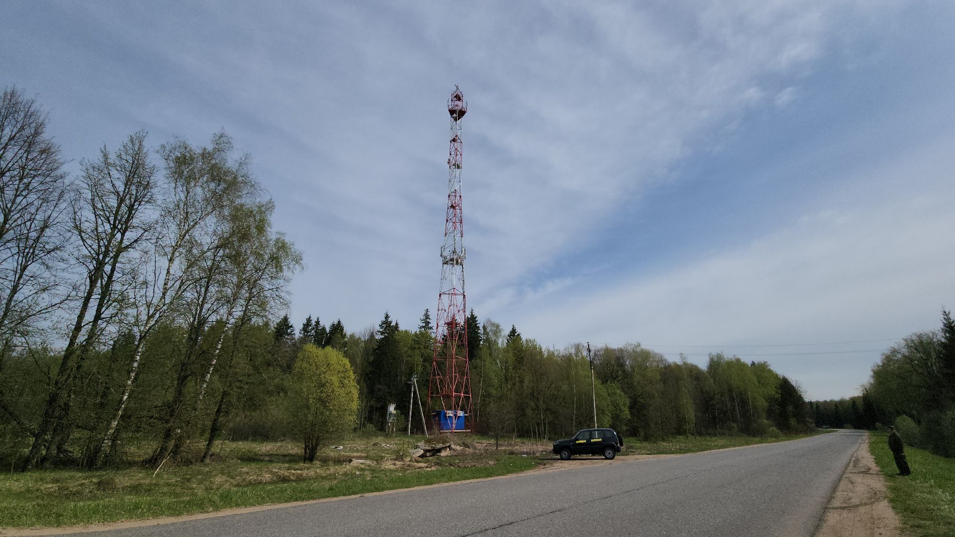 Экология, лес, лесничество, лесничие, руза, рузский городской округ, московская область,