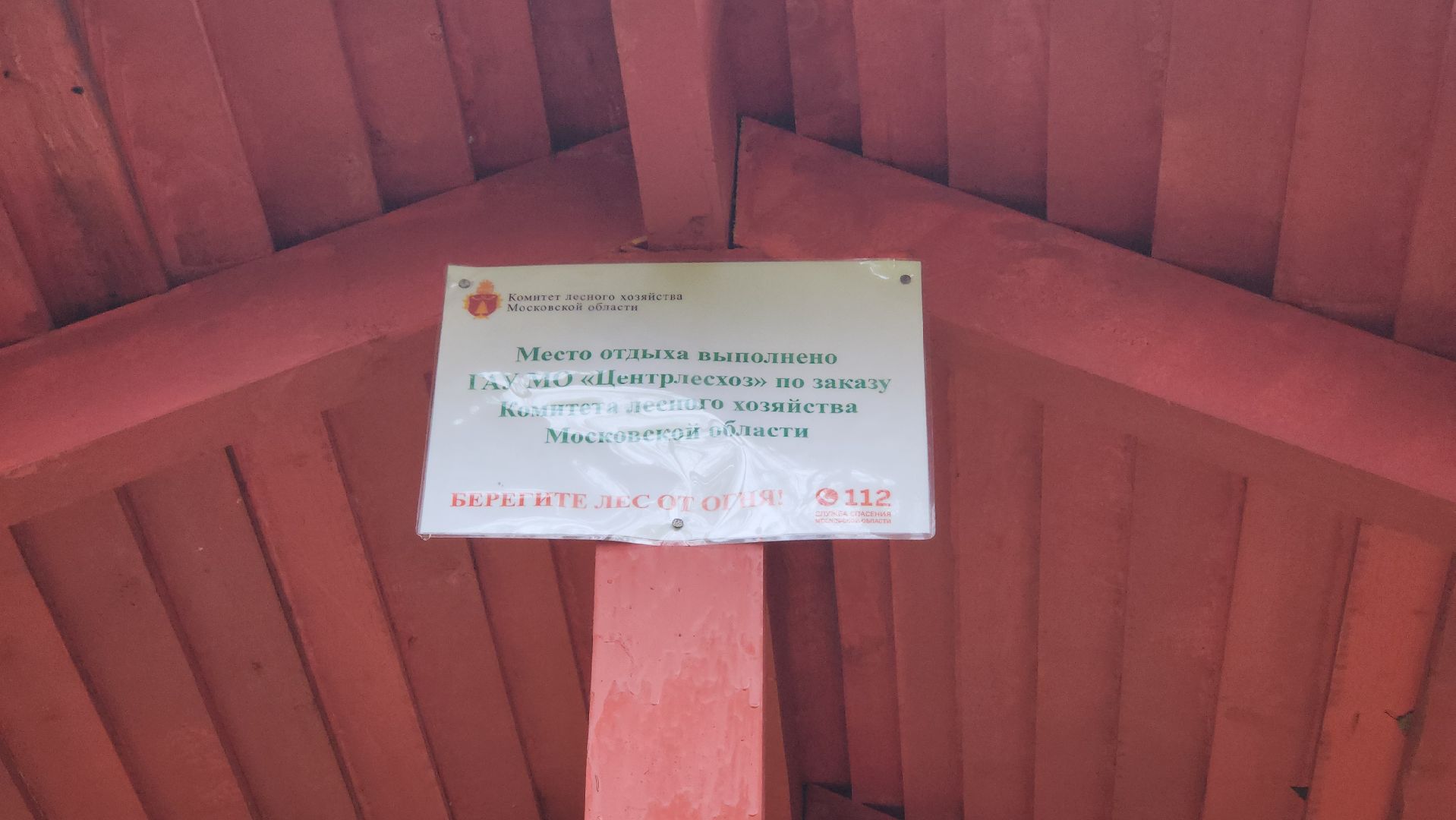 Экология, лес, лесничество, лесничие, руза, рузский городской округ, московская область,