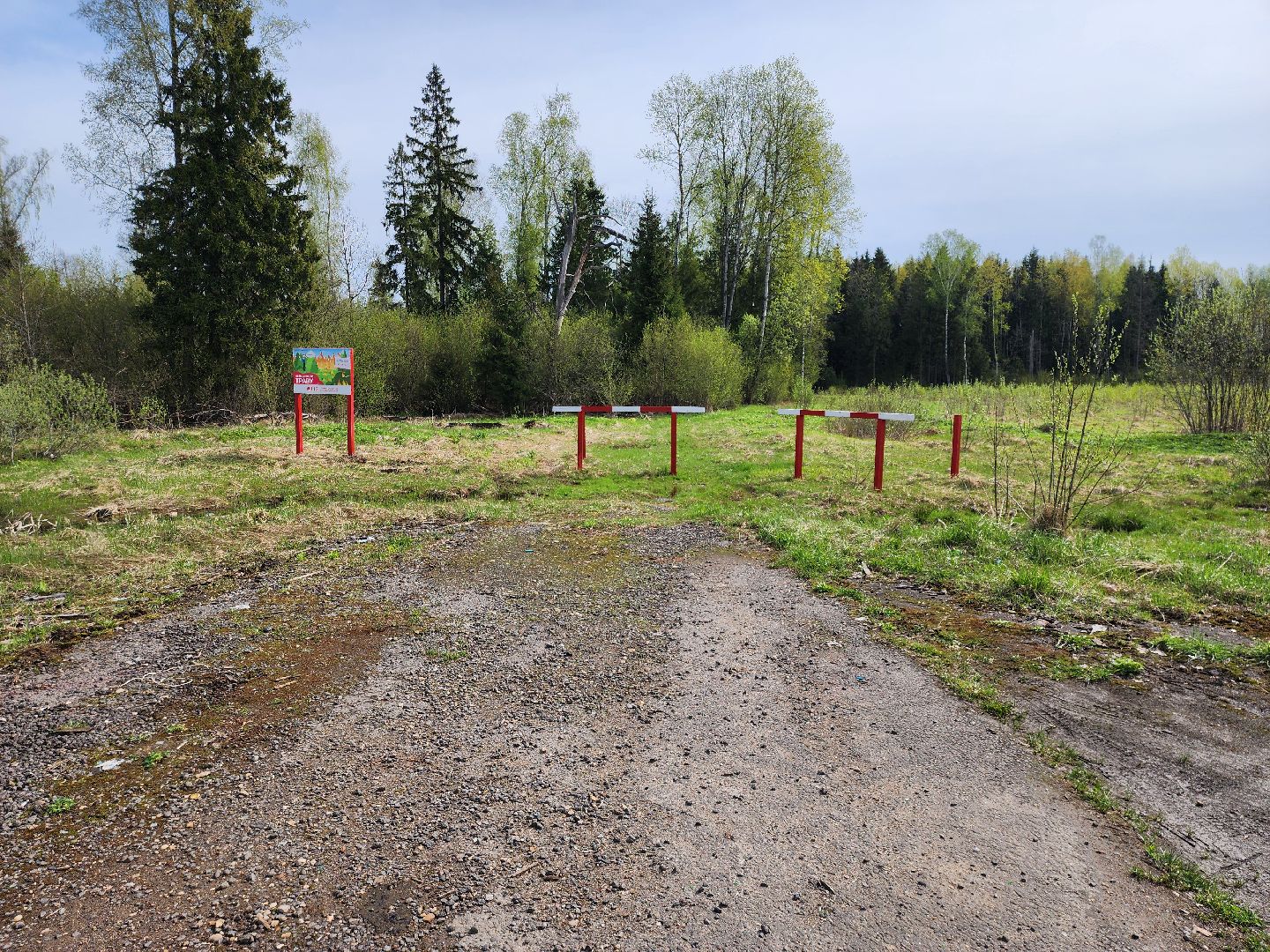 Экология, лес, лесничество, лесничие, руза, рузский городской округ, московская область,