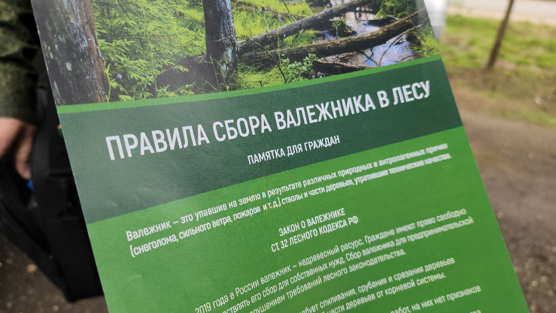 Экология, лес, лесничество, лесничие, руза, рузский городской округ, московская область,