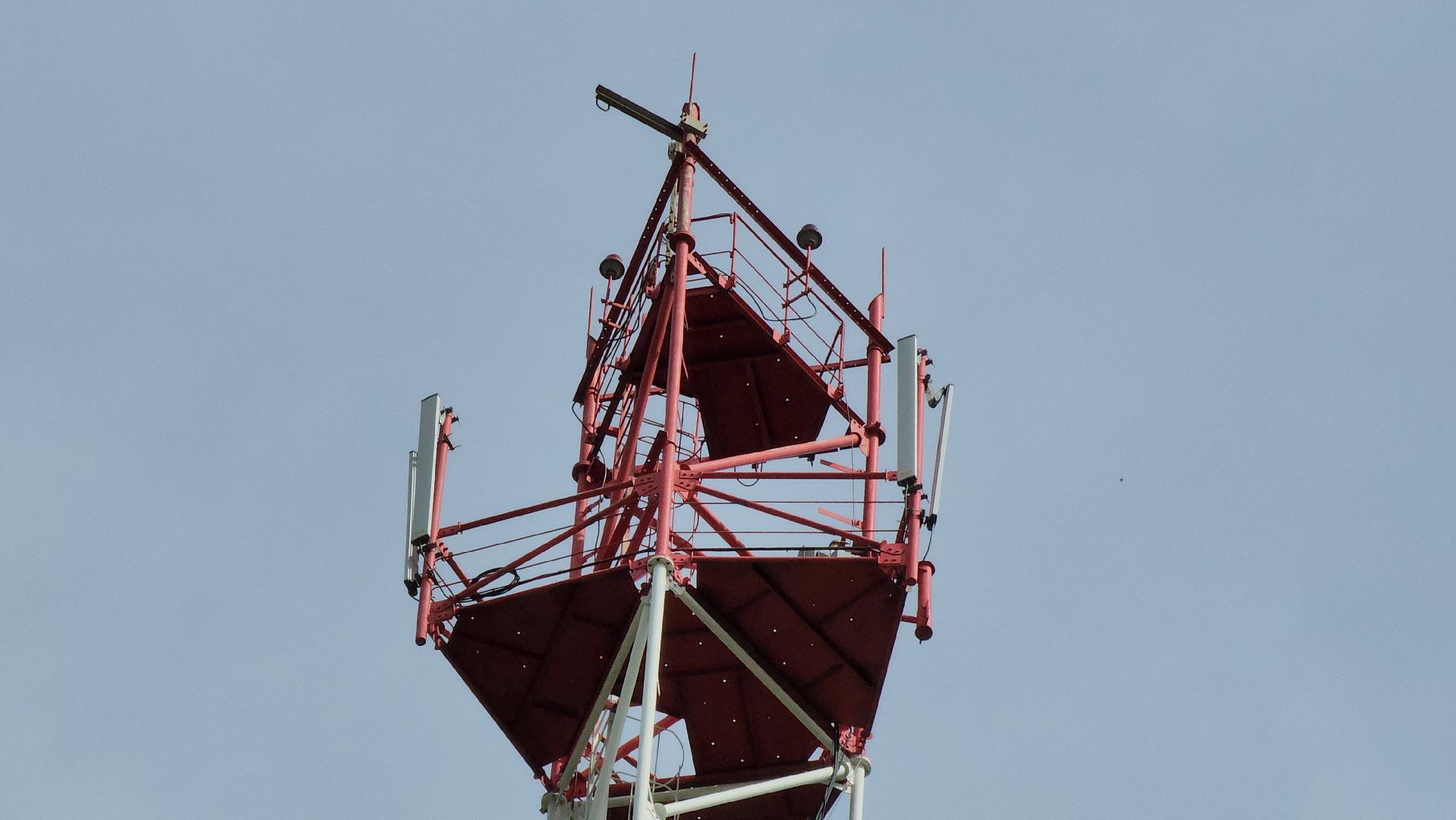 Экология, лес, лесничество, лесничие, руза, рузский городской округ, московская область,