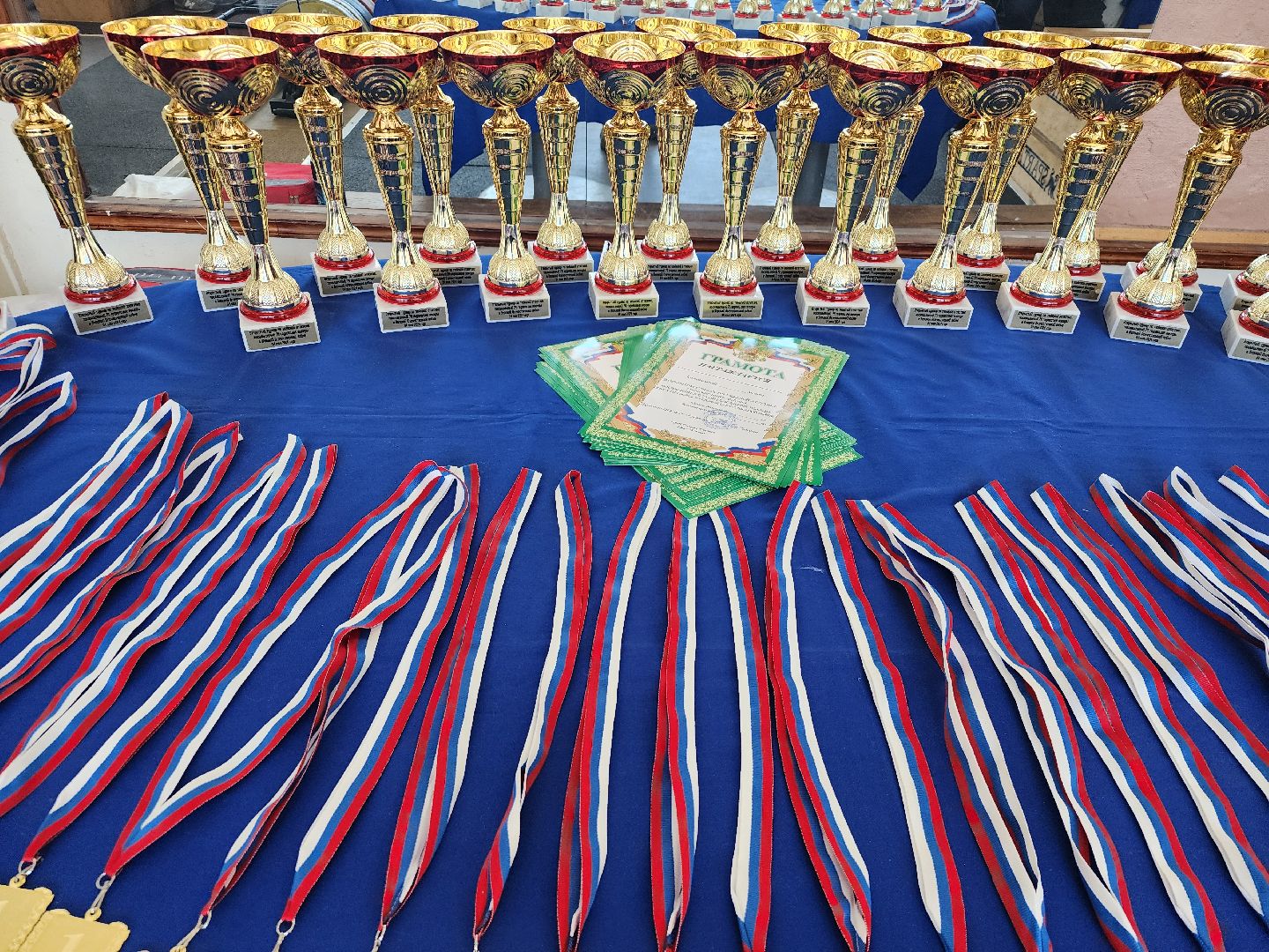 турнир по тяжелой атлетике, День Победы, тяжелая атлетика, Старая Купавна, Богородский городской округ,