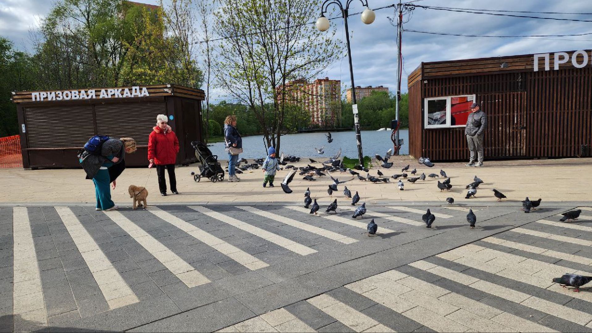 люберцы, наташинский парк, глава городского округа люберцы владимир волков, обращение жителей,
