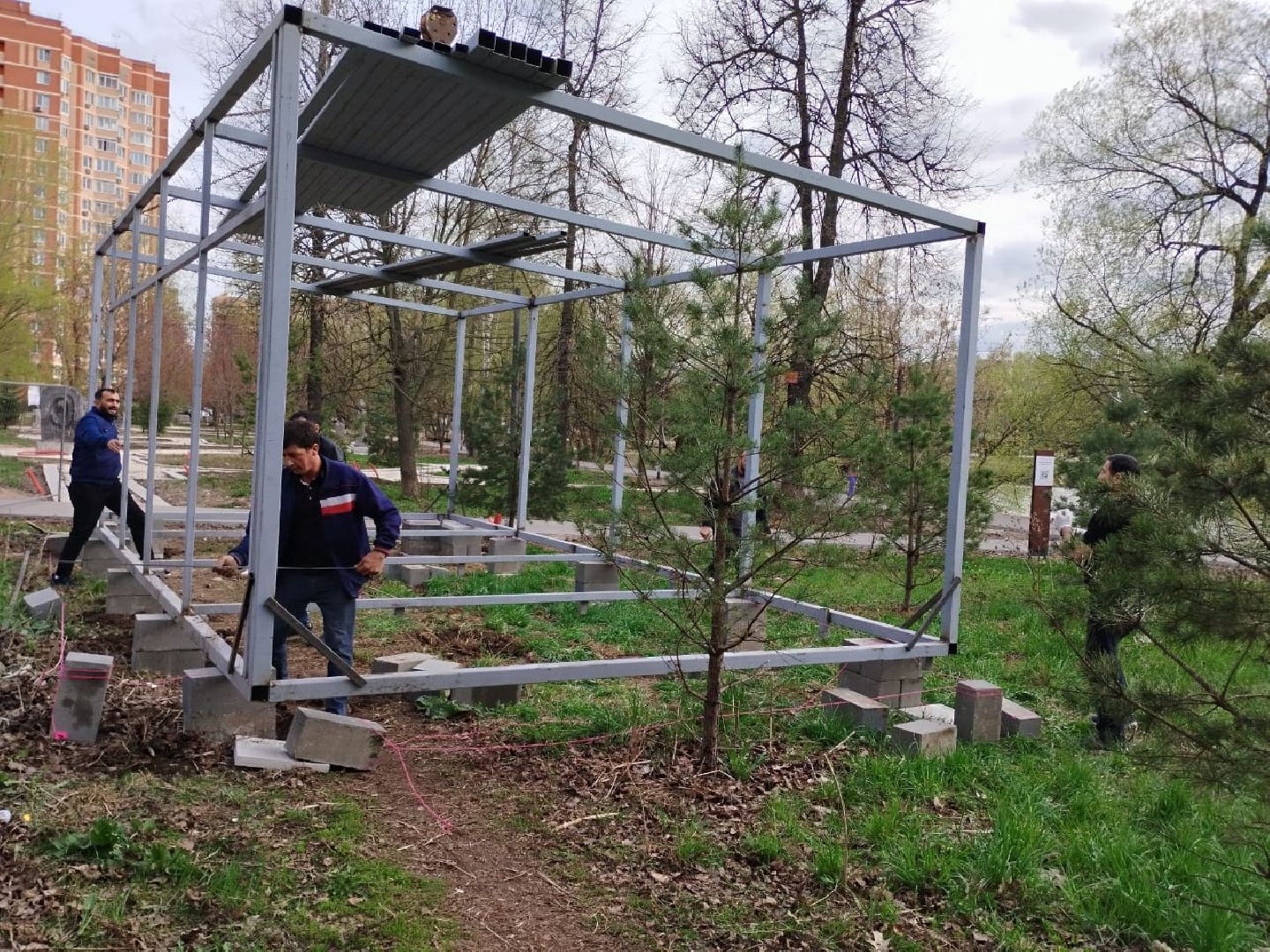люберцы, наташинский парк, глава городского округа люберцы владимир волков, обращение жителей,