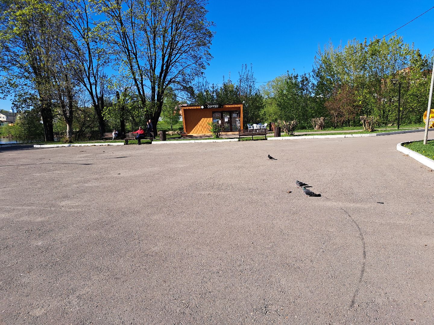 Щелково, Парк, Макулатура,