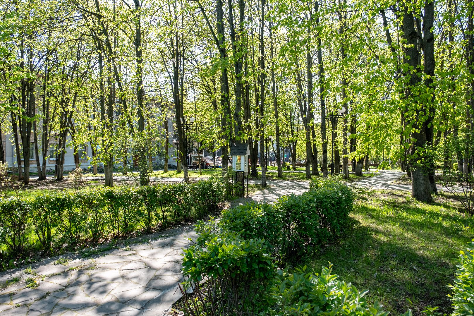 лыткарино, благоустройство, парк,