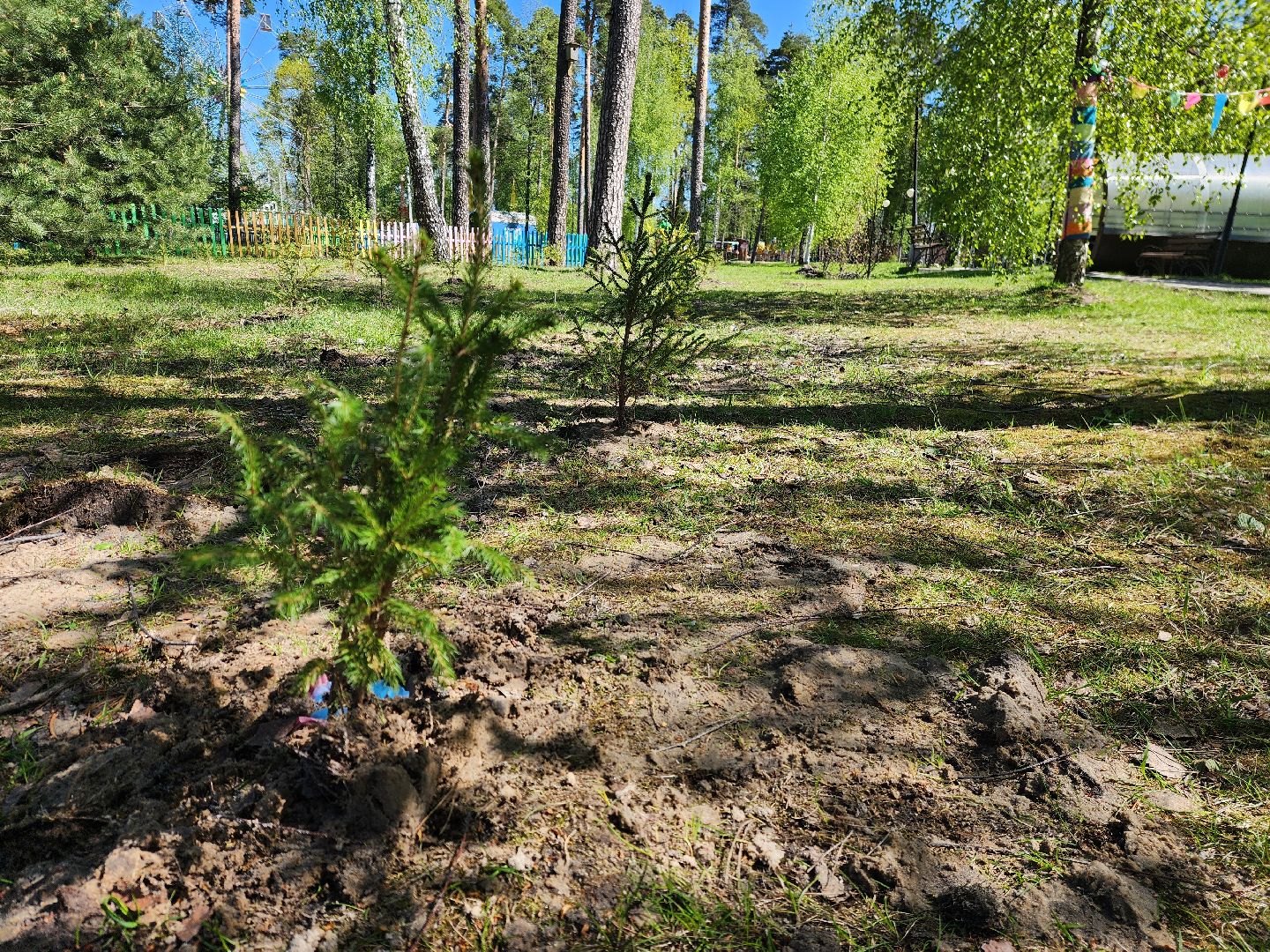 шатура, сад победы, сад памяти и славы, добрые дела, парки шатуры,