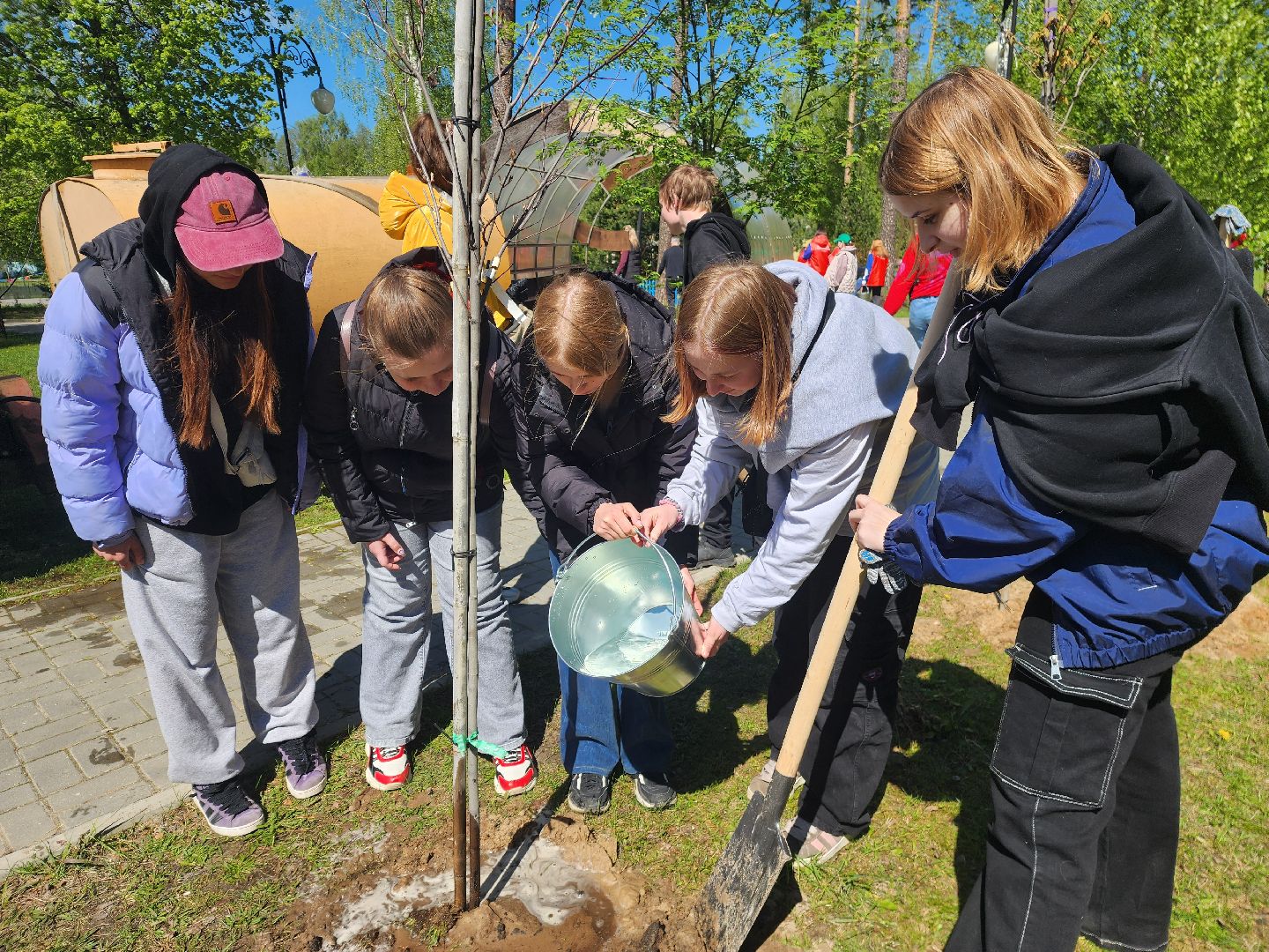 шатура, сад победы, сад памяти и славы, добрые дела, парки шатуры,