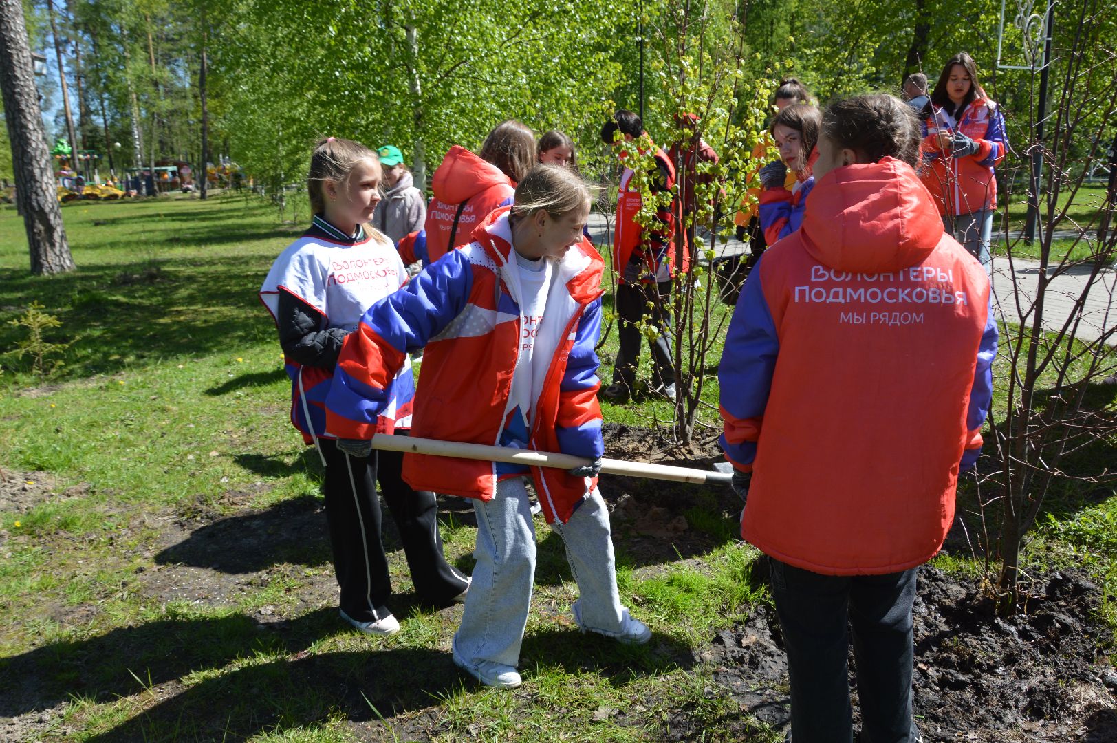 шатура, сад победы, сад памяти и славы, добрые дела, парки шатуры,