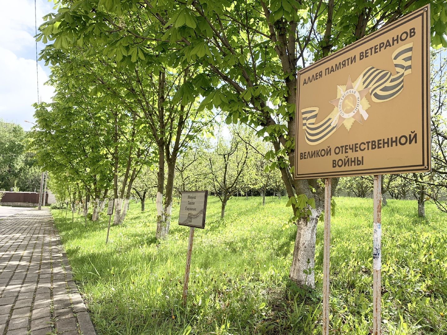 Балашиха, Подмосковье, День Победы, Сиреневый парк Победы 2024, аллея памяти, сиреневая аллея, митинг,