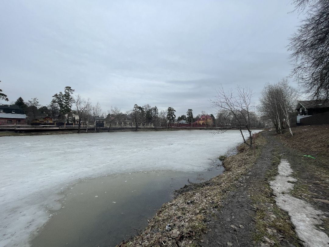 Одинцово, Немчиновка, экология, пруд, Добродел,