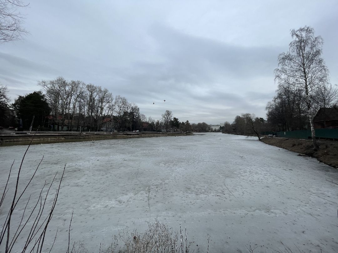 Одинцово, Немчиновка, экология, пруд, Добродел,