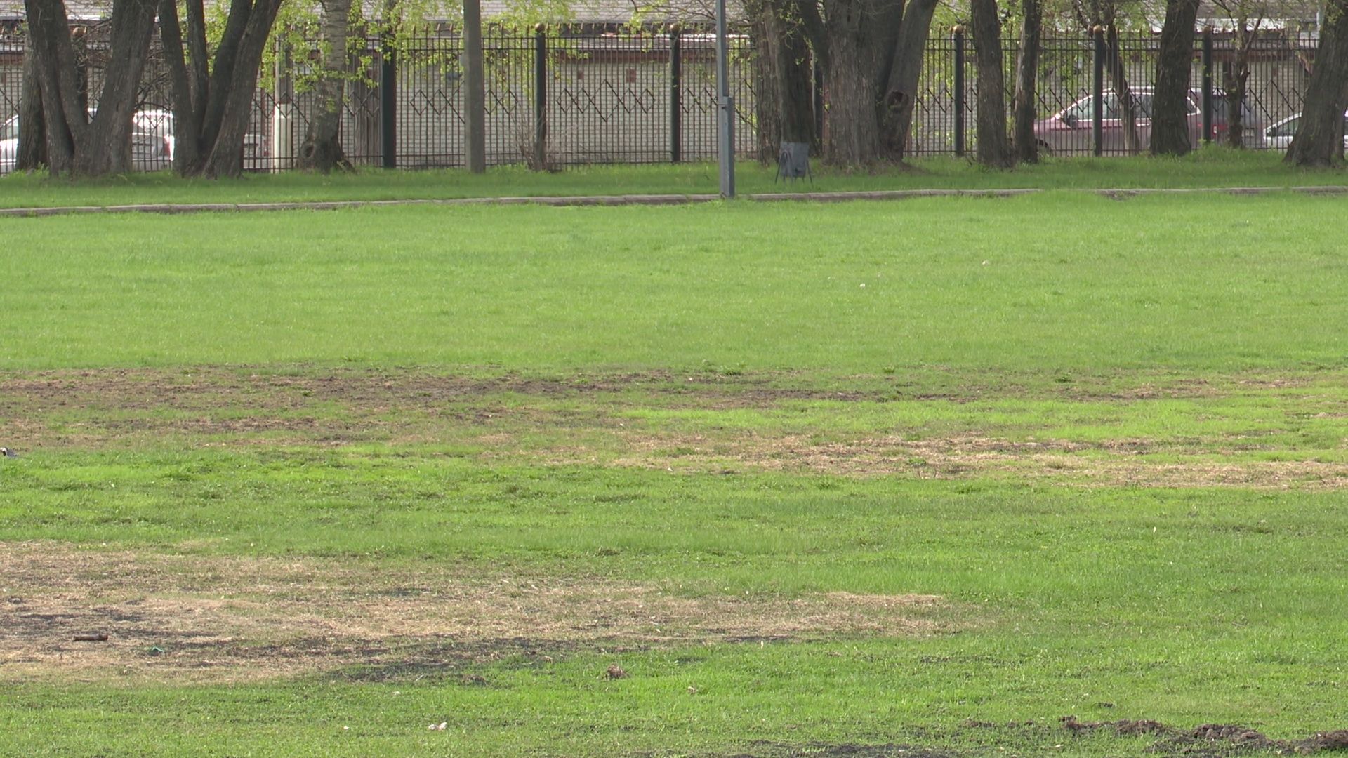 Реутов, спорт, спортобъект, приалит, футбольное поле, газон,