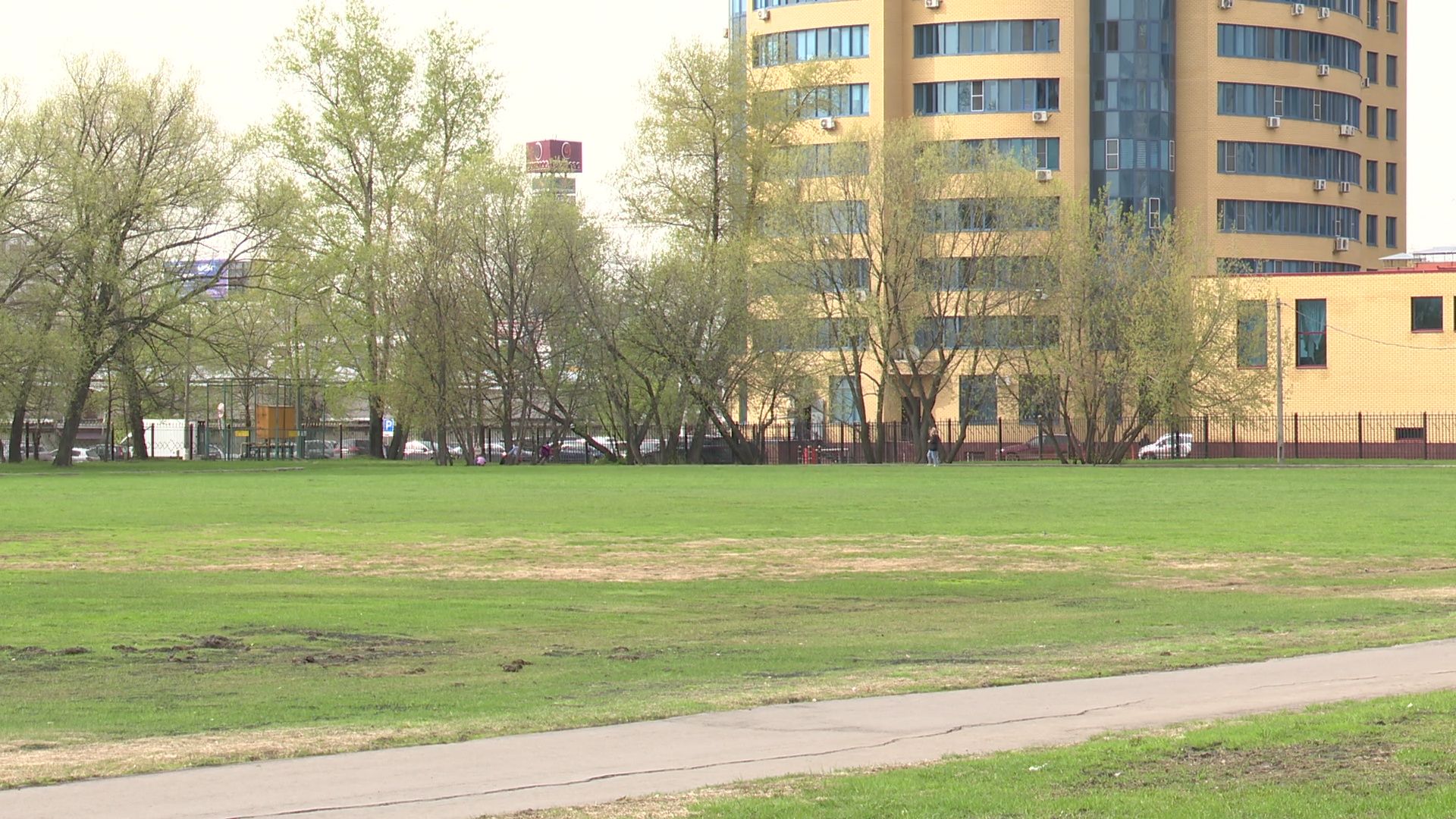 Реутов, спорт, спортобъект, приалит, футбольное поле, газон,