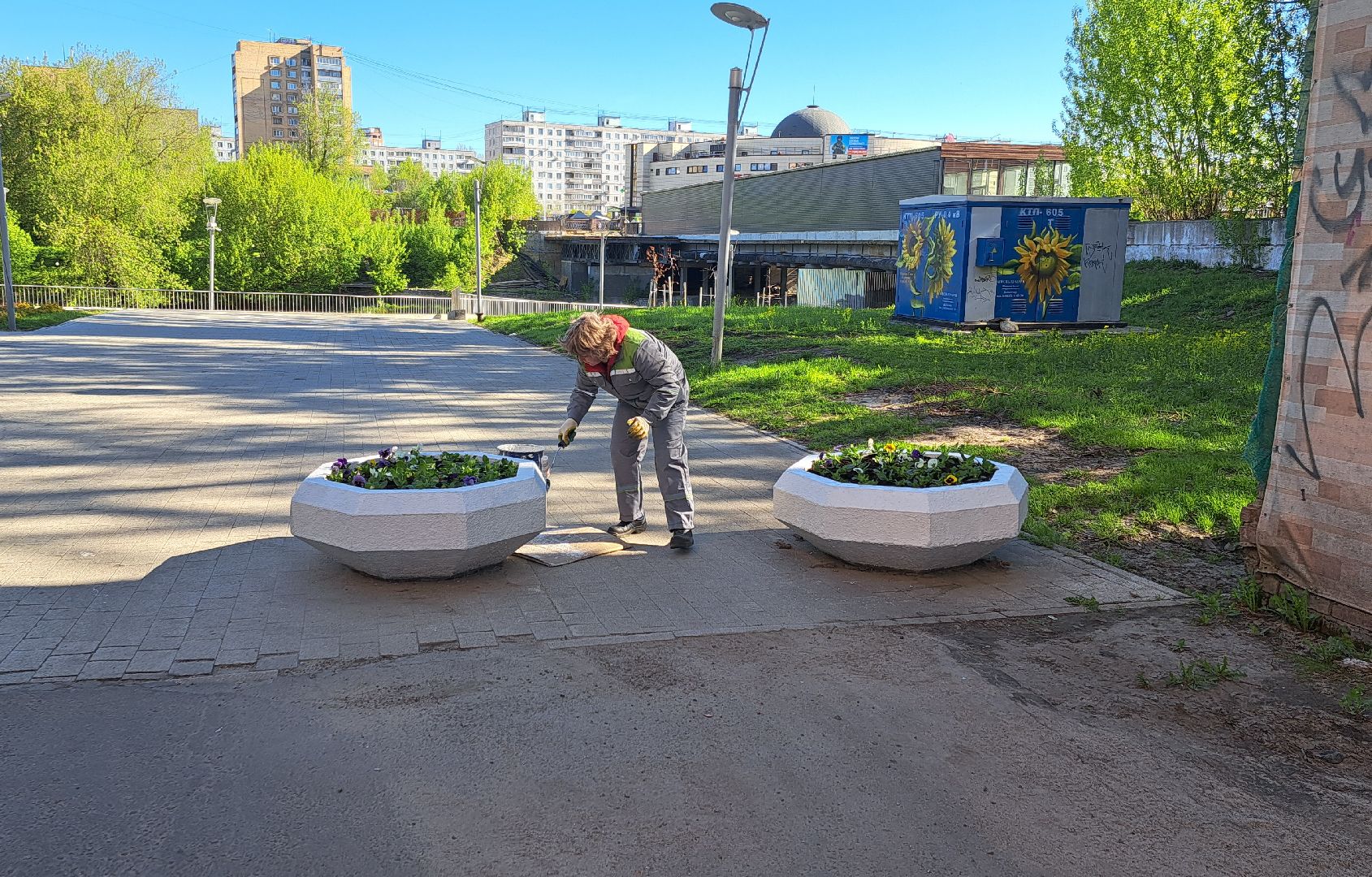 Щелково, цвет, набережная,