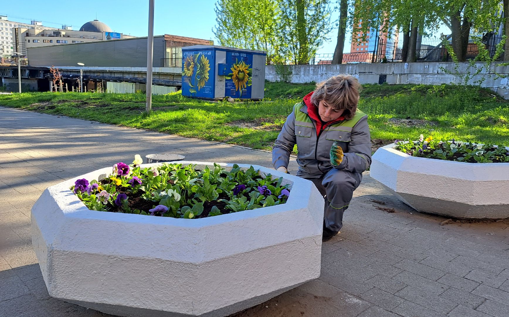 Щелково, цвет, набережная,