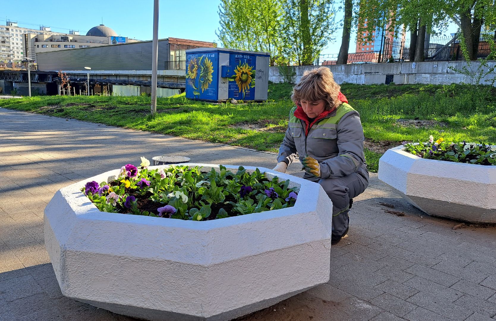 Щелково, цвет, набережная,