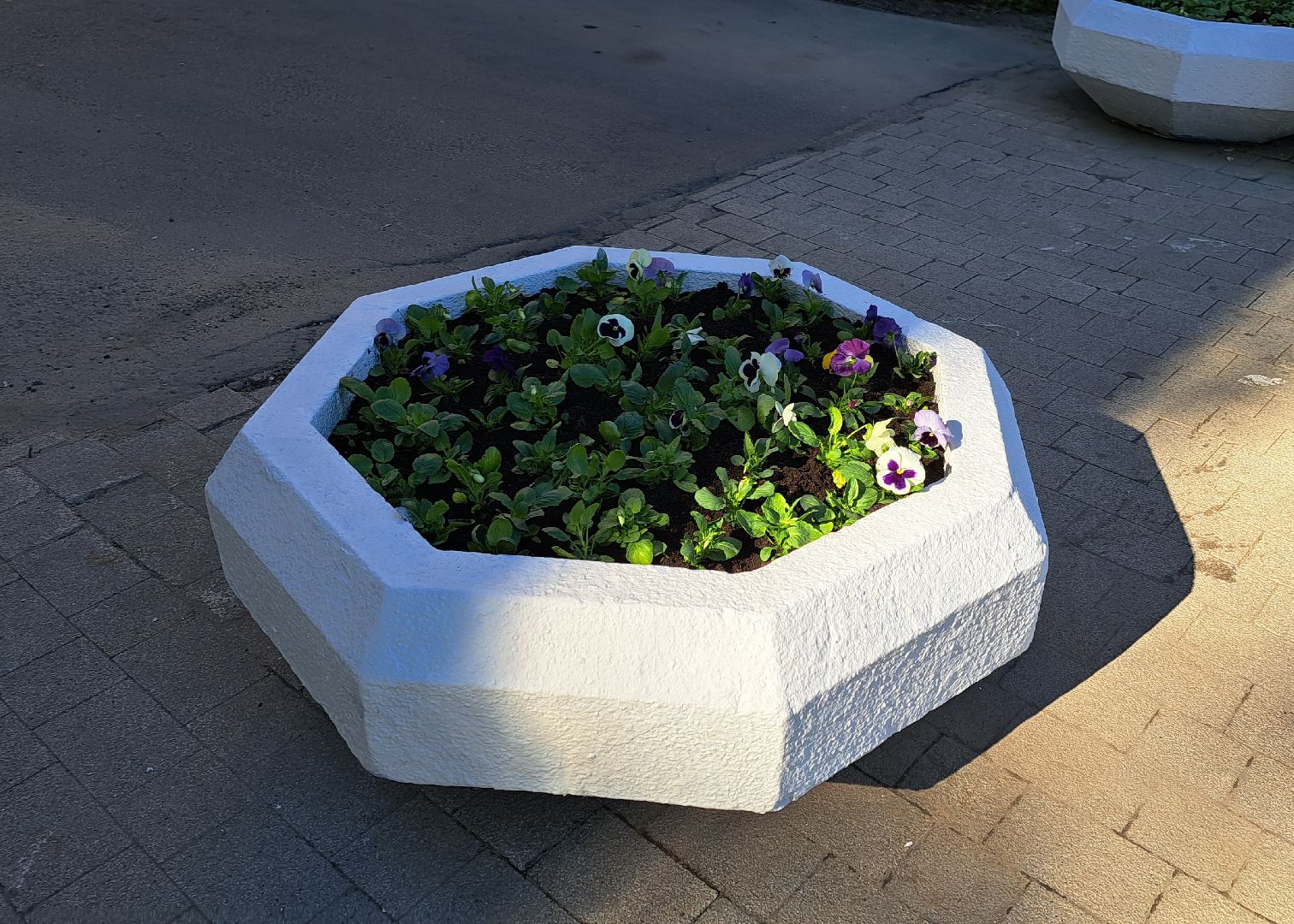 Щелково, цвет, набережная,