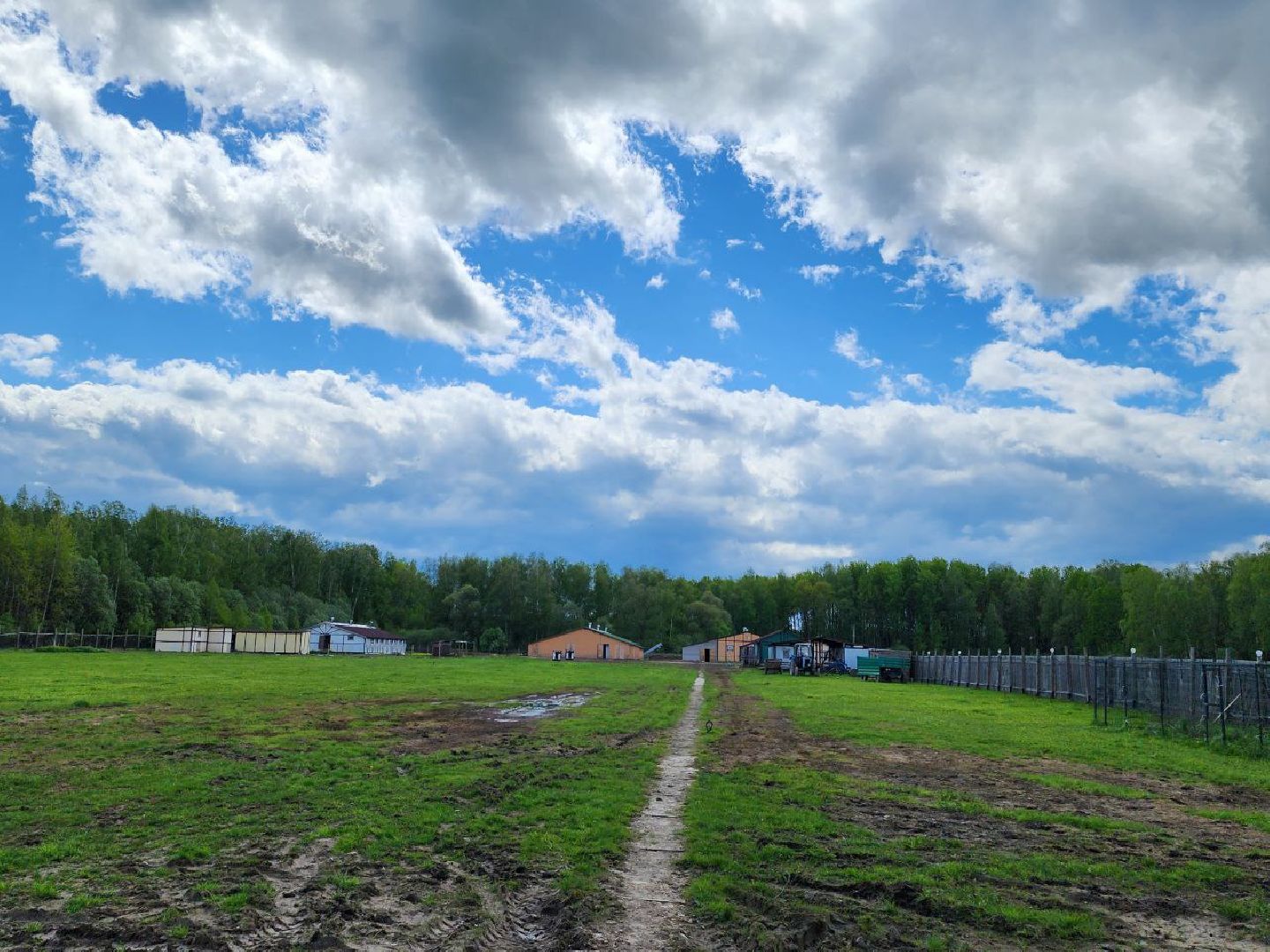 чехов, американец, пасха, кулич, храм, православие,