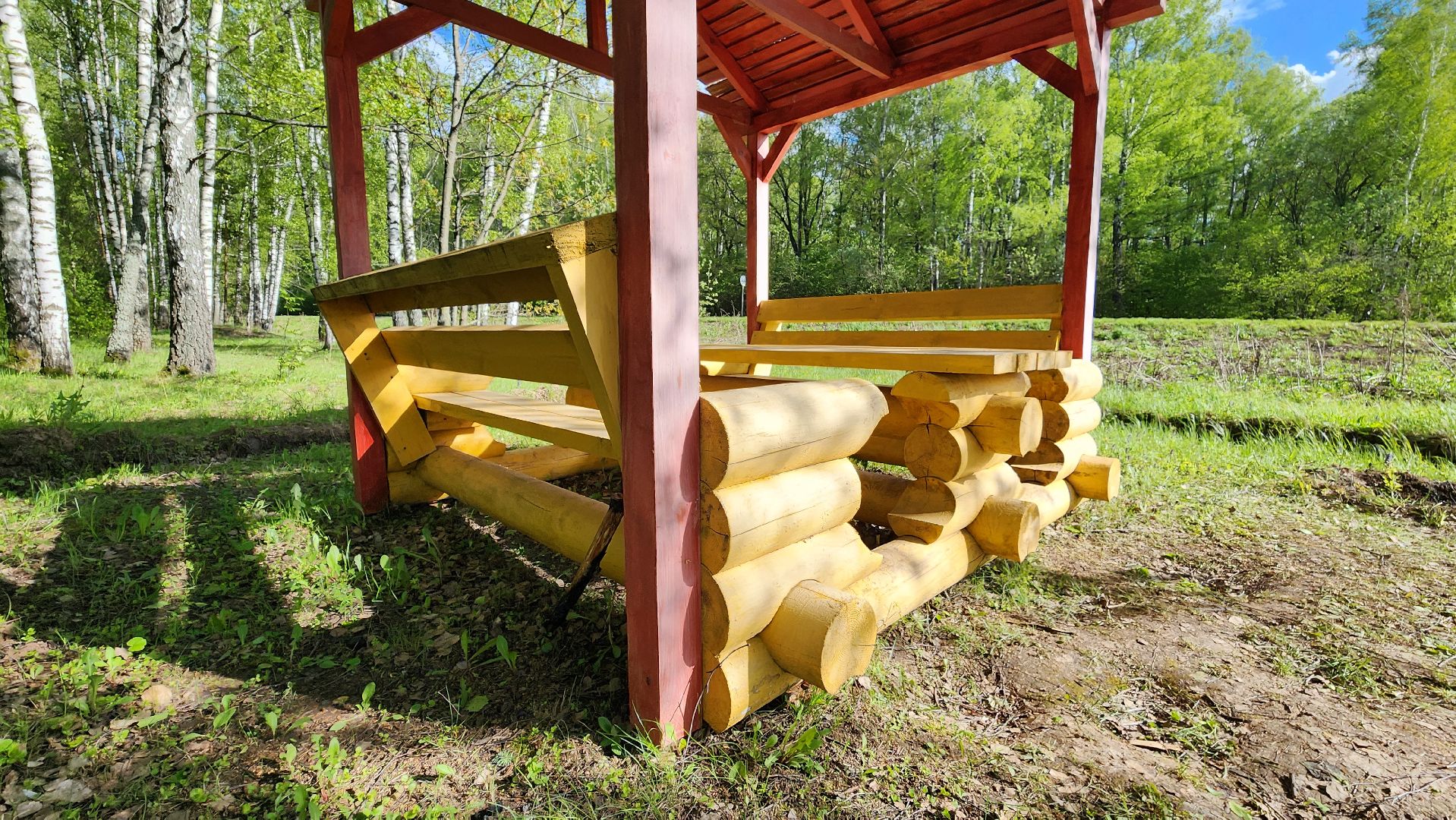 кашира, зона для отдыха, отдых в лесу, зона для пикника, мангал, шашлык, комлесхоз,