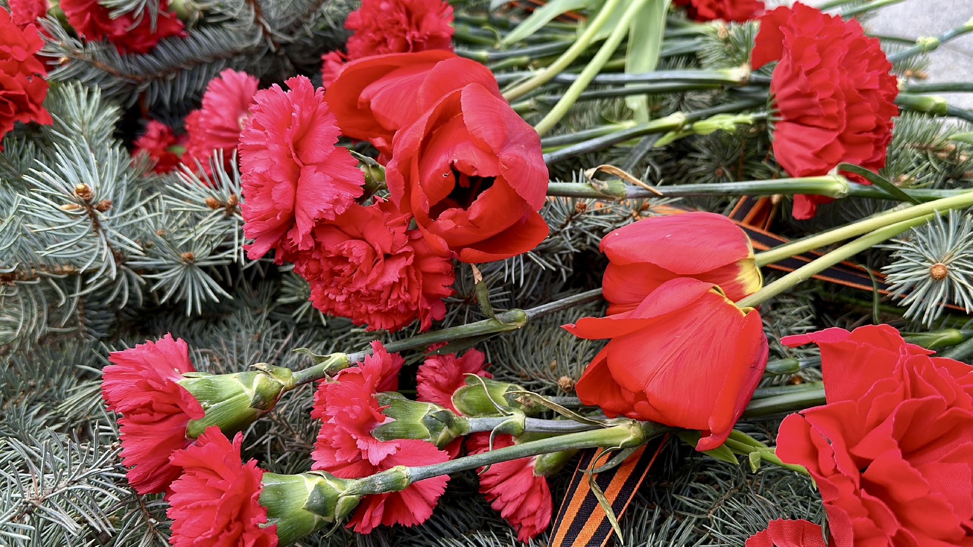 Клин, общество, образование, Юнармия, память,