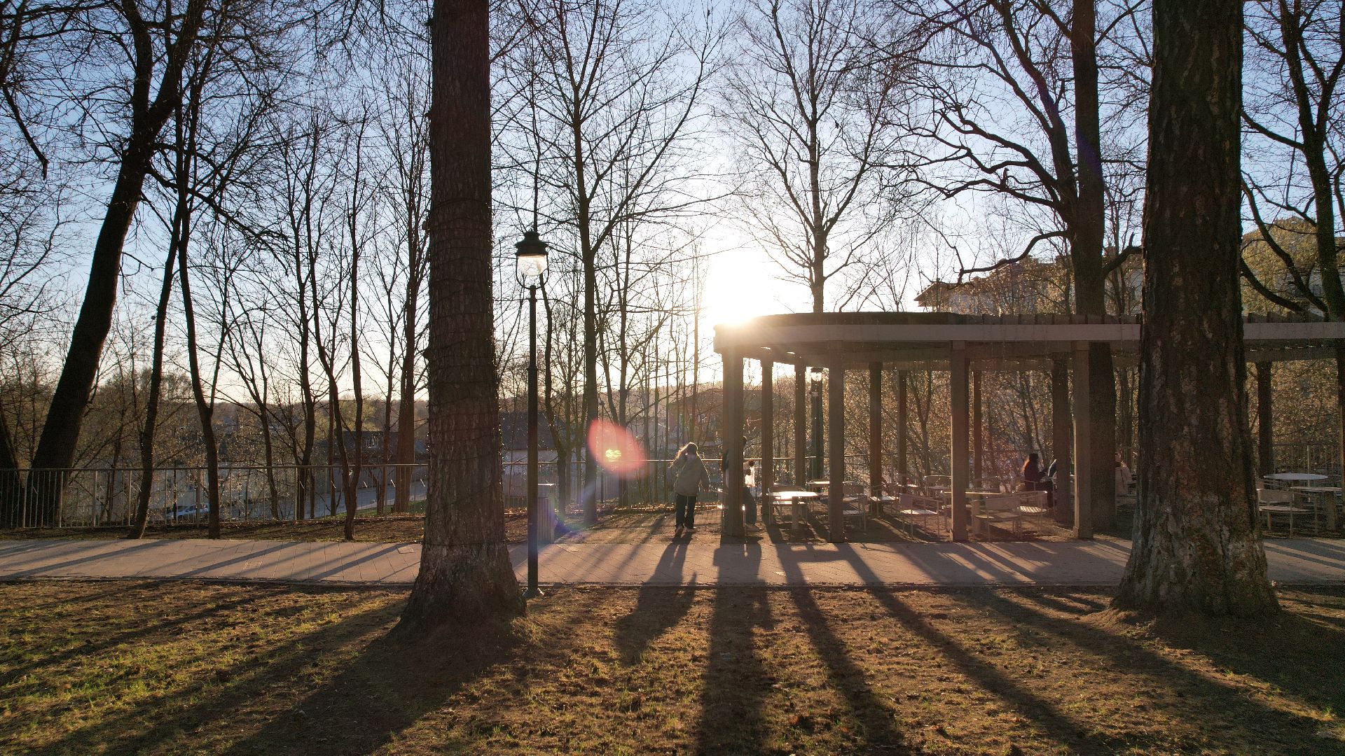 видео с коптера, звенигород, парк,