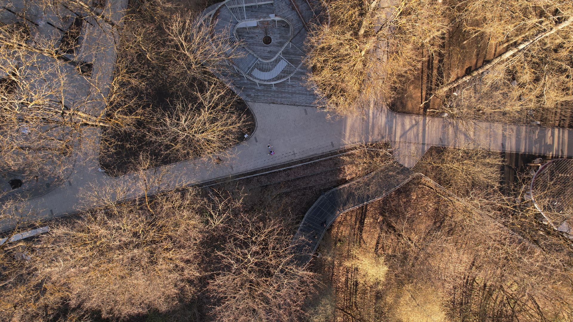 видео с коптера, звенигород, парк,