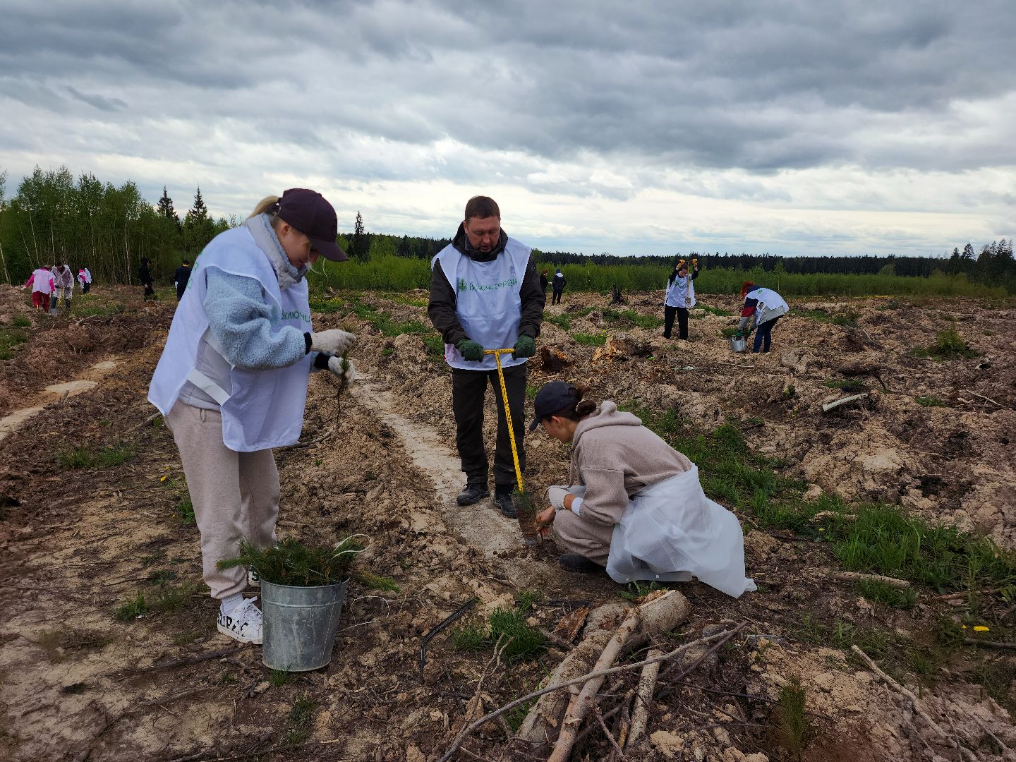 Звенигород, Акции, Посади лес,