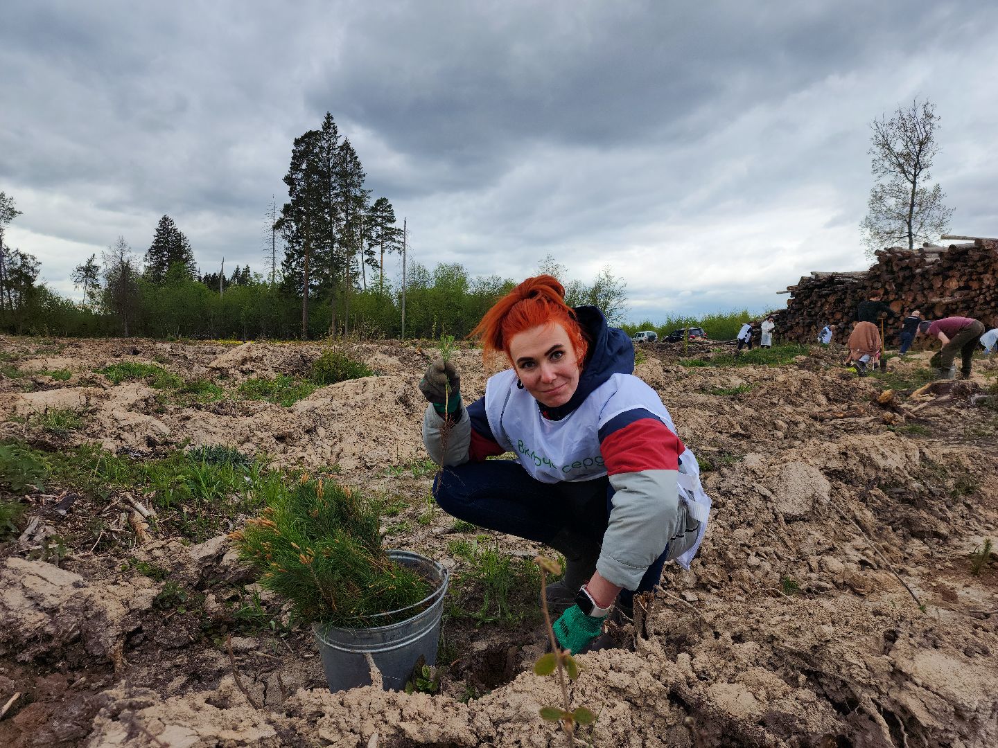 Звенигород, Акции, Посади лес,