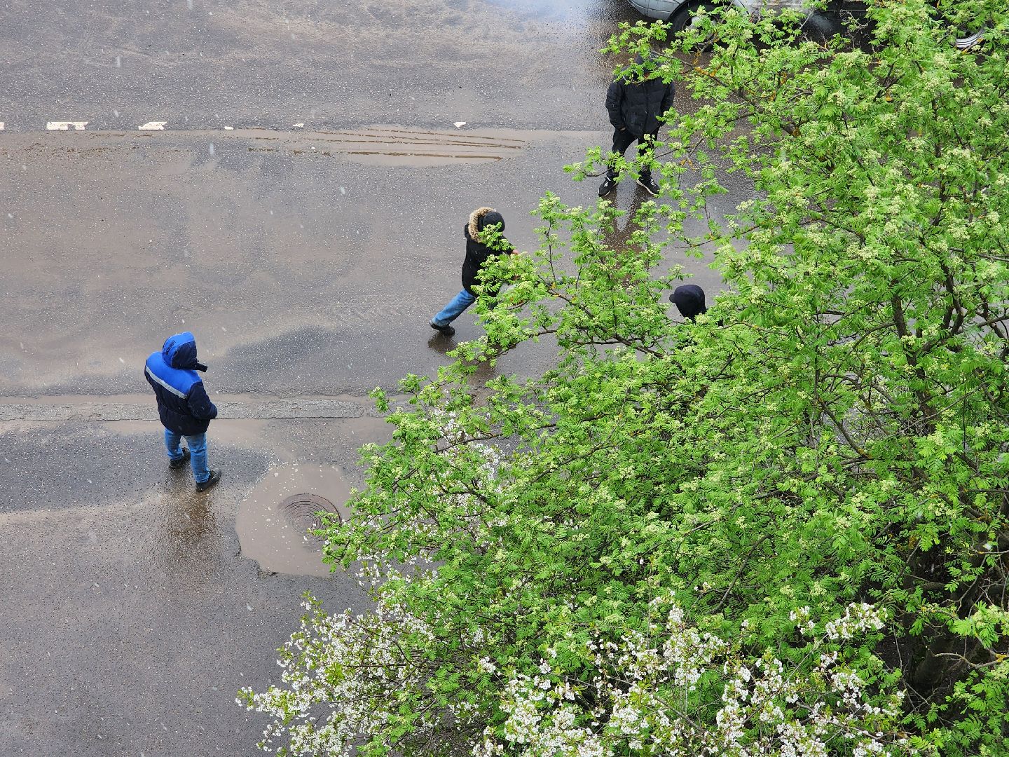 ЖКХ, коммунальные службы, уборка города, Старая Купавна, Богородский городской округ,