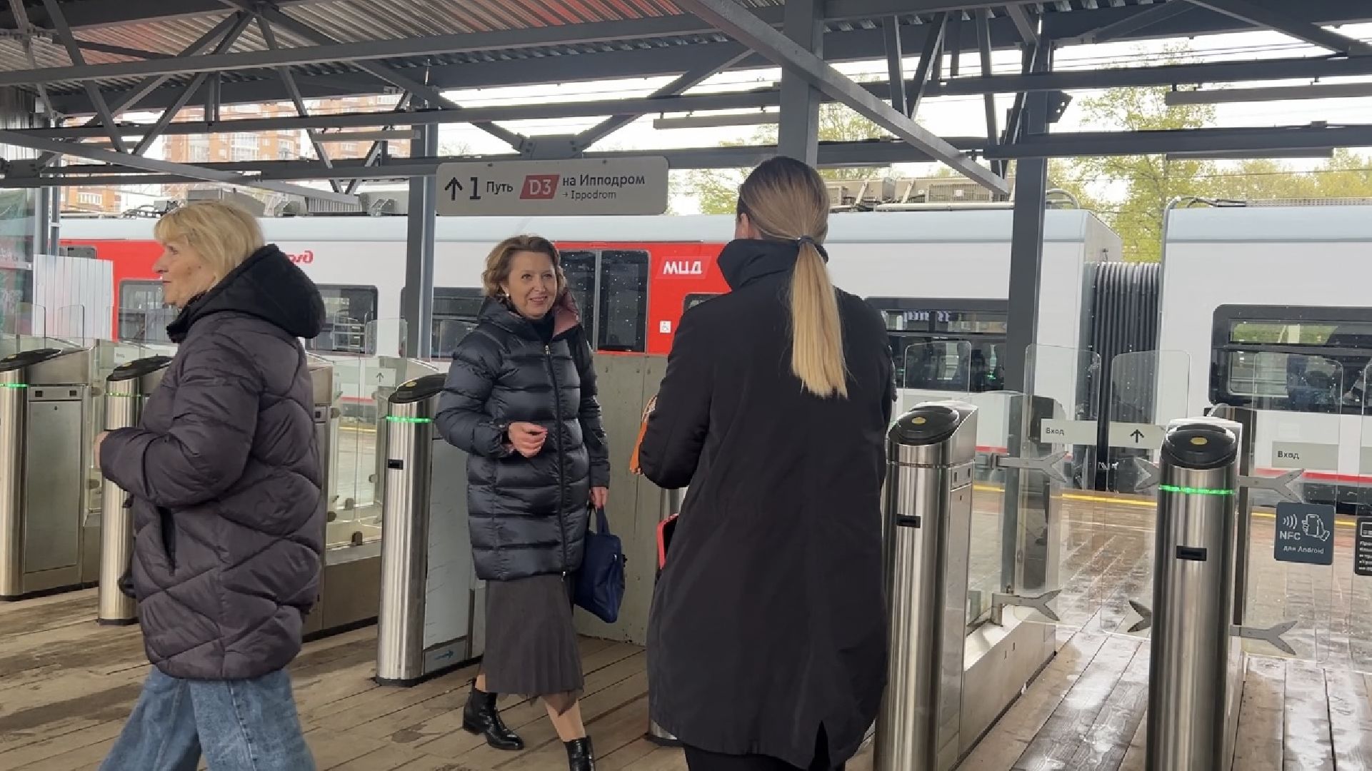 химки, общество, георгиевская ленточка,