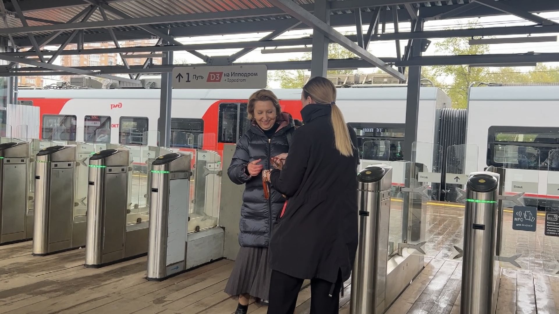 химки, общество, георгиевская ленточка,