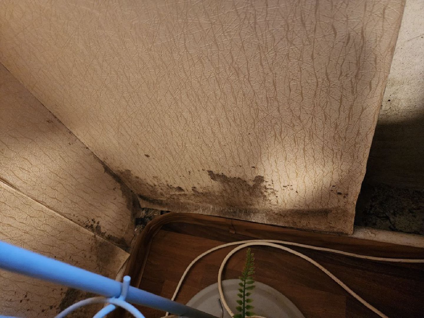 чехов, общество, выездная администрация, жители, ремонт кровли, мкд,