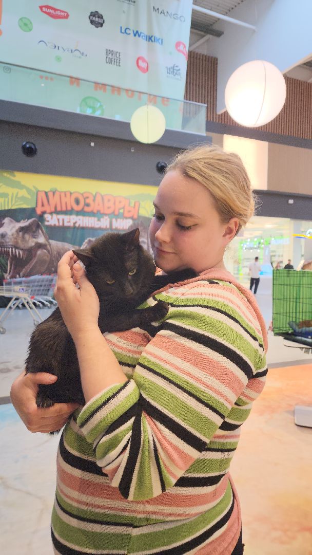 пушкино, бездомные животные, пристройство, мероприятие, волонтерство,