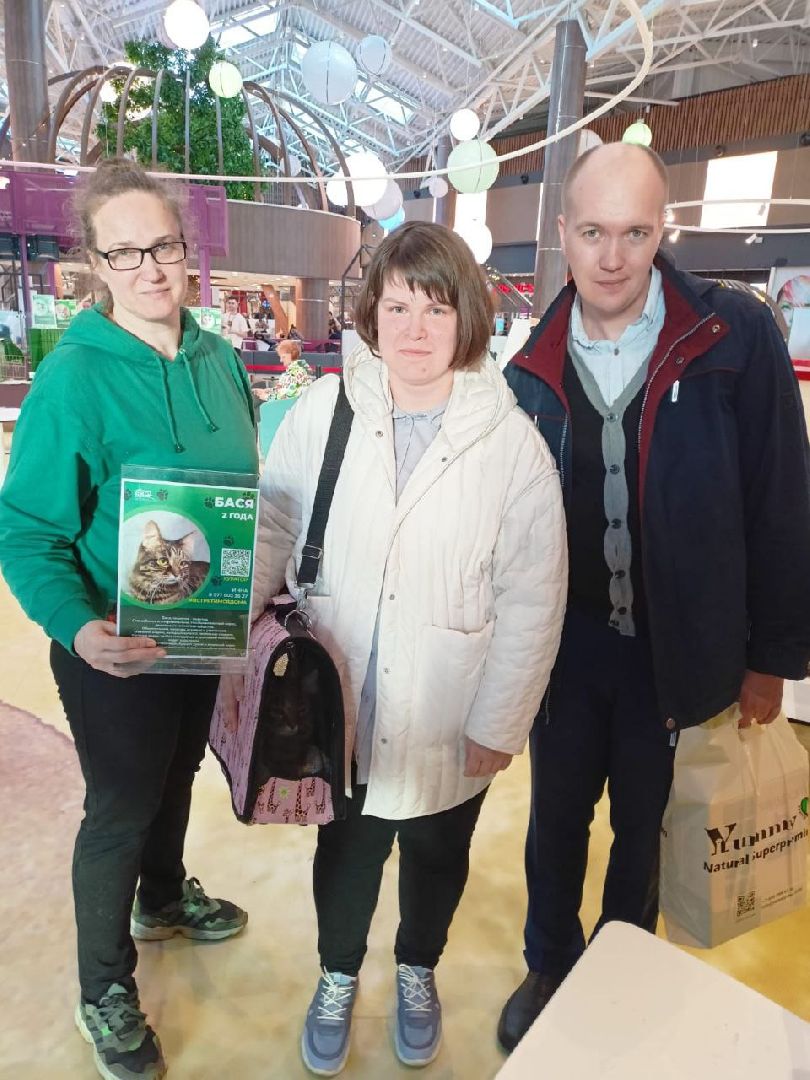 пушкино, бездомные животные, пристройство, мероприятие, волонтерство,